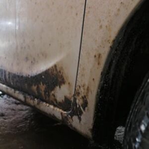 05 bug and tar removal